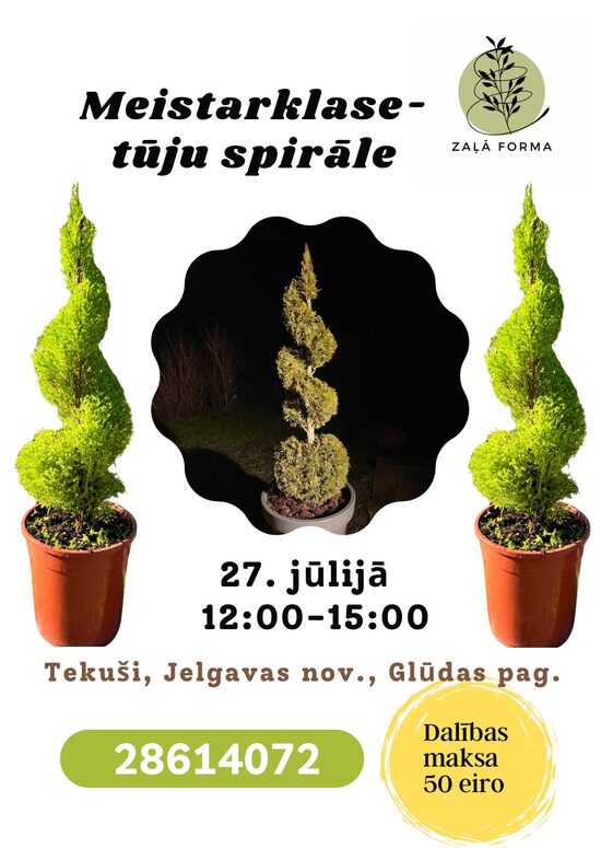 Tūju spirāles Meistarklase